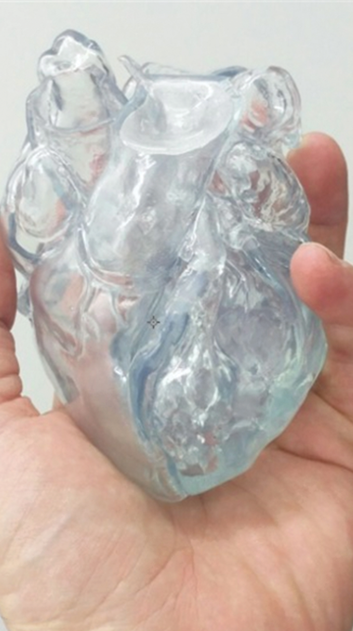 Transparent SLA heart model for device demonstration